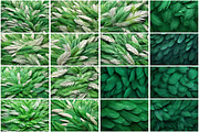 Green Feathers Wallpaper, a Texture Graphic by Forhadx5 (Thumbnail 3 of 5)