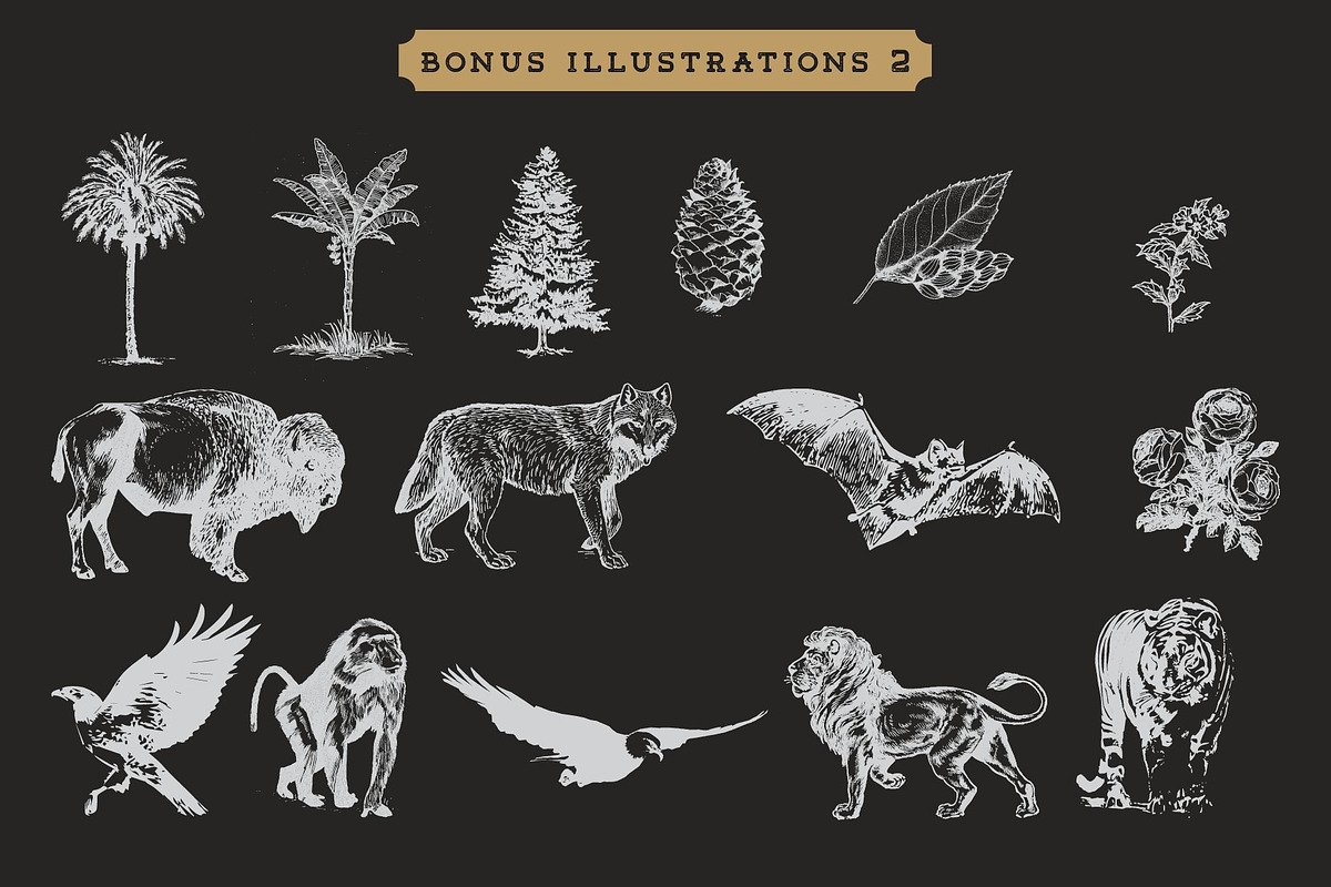 Tigreal Font Family + Illustrations preview 6