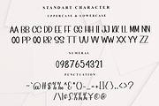 Amazing, a Sans Serif Font by FreshTypeINK (Thumbnail 2 of 7)