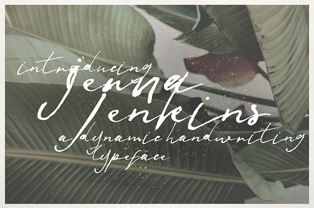 Jenna Jenkins Script, a Script Font by BlueRobinDesignShop