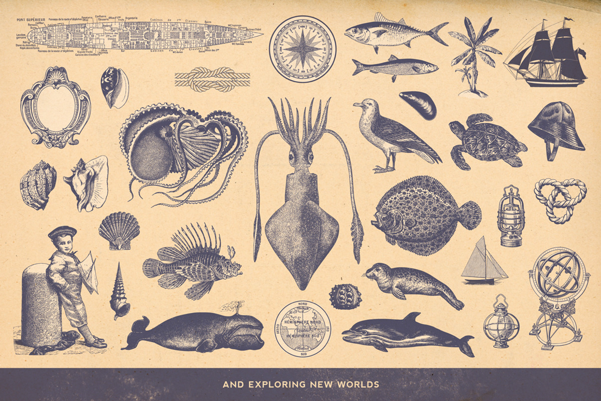 SALE! 100 Nautical Illustrations, an Object Illustration by Anja Kaiser (Photo 4 of 4)