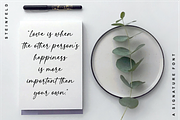 Steinfeld a Handwritten Font, a Script Font by Vilogsign (Thumbnail 7 of 11)