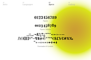 Proto Serif Bold, a Serif Font by Bukva™ Type Foundry (Thumbnail 7 of 13)