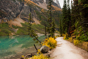 Lake Louise in the Fall