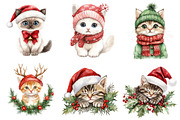 Christmas Hat and Cat Face Clipart, a Seasonal Illustration by CitraGraphics (Thumbnail 3 of 5)