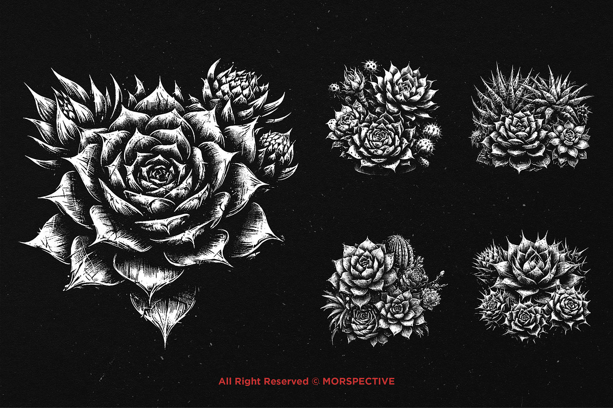 10 Bundle Dark Art Succulent Cactus, an Illustration by Morspective (Photo 3 of 7)