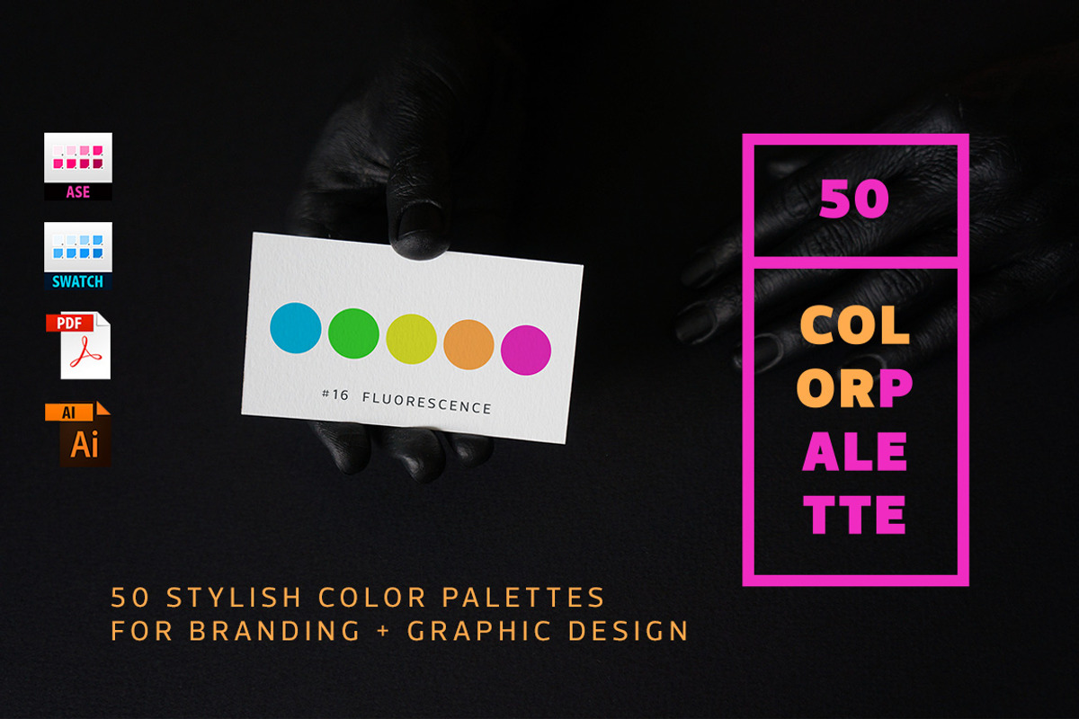 50 Color Palettes for Branding, a Palette Add-On by Pulpixel Design (Photo 1 of 6)