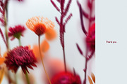 Harvest – Blurry Autumn Backgrounds, a Background Graphic by divanovskaya_nv (Thumbnail 18 of 18)