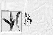 Graffiti & Torn Paper PNG Elements, an Object Graphic by Marie T (Thumbnail 9 of 20)