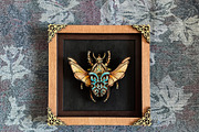 DIY Beetle Wall Art Insect Laser Cut, an Illustration by Bubert Art (Thumbnail 8 of 9)