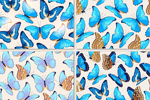 Morpho Patterns