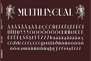 NEIMA, a Serif Font by Bagerich Type Foundry (Thumbnail 7 of 15)