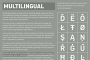 Compasse, a Sans Serif Font by Dharma Type (Thumbnail 6 of 10)
