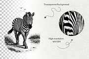 Wild Animals SVG Graphics, an Animal Illustration by DENIDigitalArtSudio (Thumbnail 5 of 5)