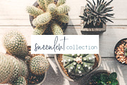 Longwood Font, a Script Font by SophieSaxo (Thumbnail 3 of 20)