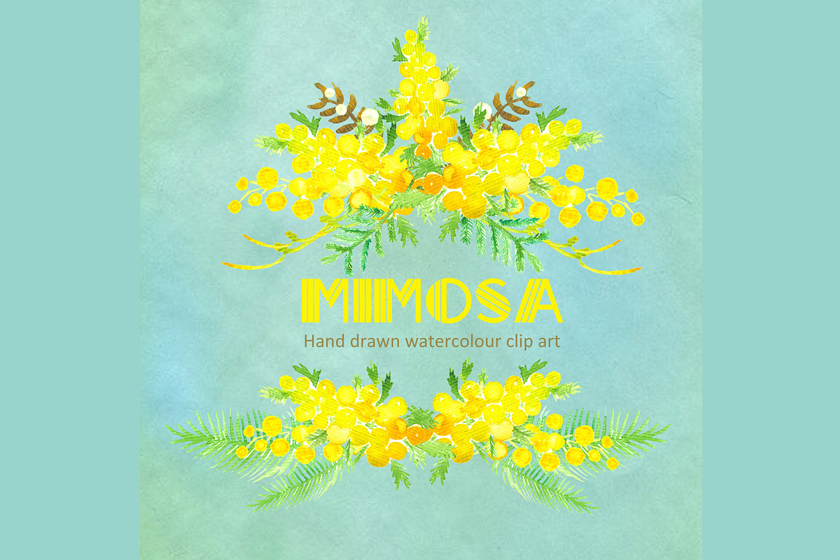Mimosa  Watercolor Clip Art, an Illustration by LABFcreations (Photo 4 of 4)