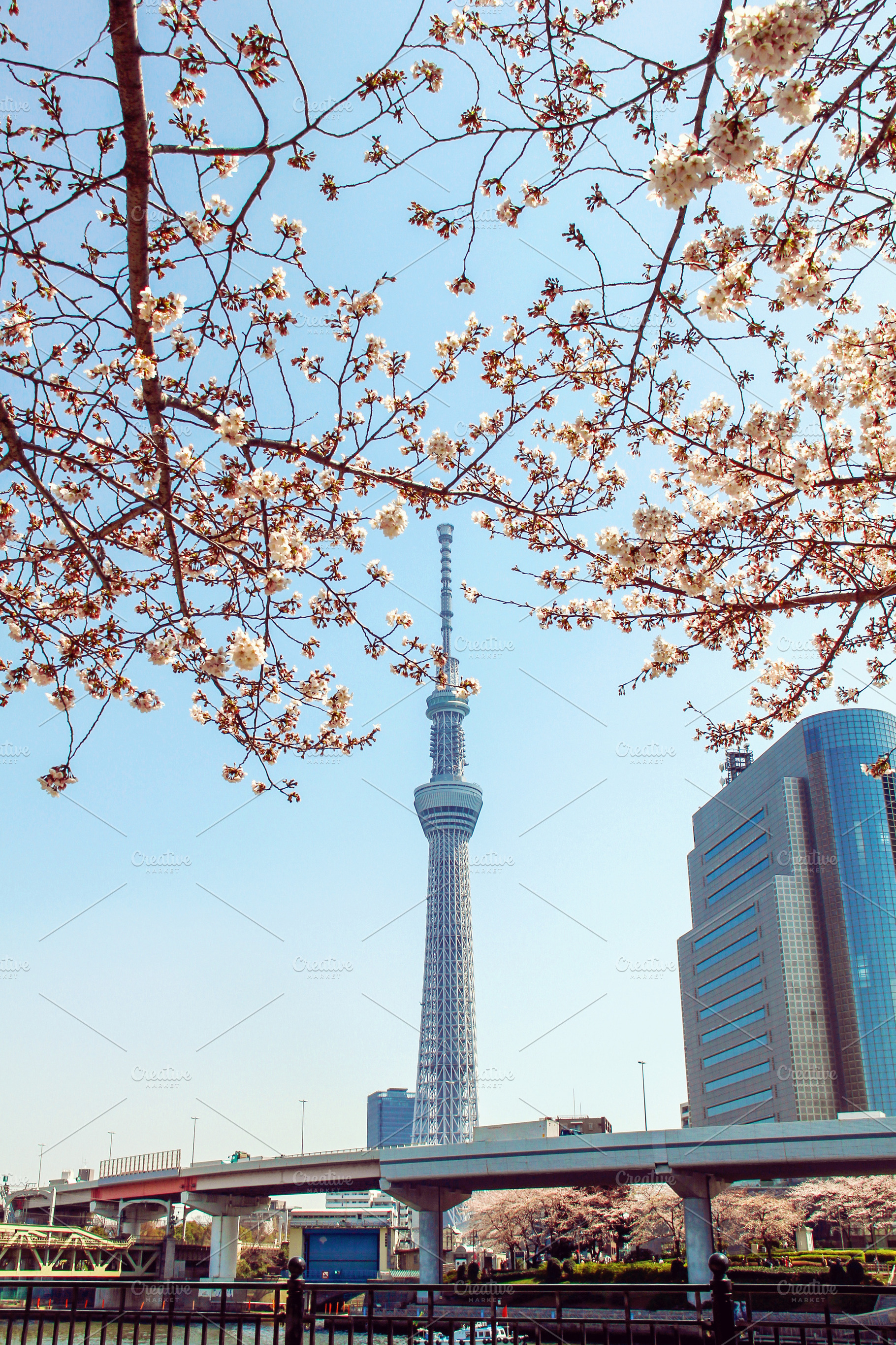 Tokyo Skytree tower in Japan, an Architecture Photo by BOOCYS