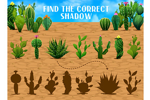 Find The Correct Cactus