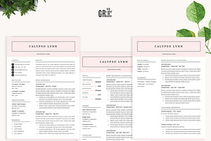 Resume Template For Microsoft Word