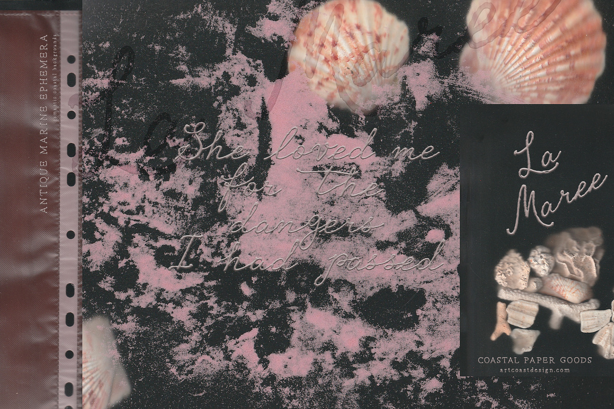La Maree — Coastal Ephemera, a Background Graphic by nadispasibenko (Photo 7 of 9)