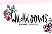 Wildblooms Font & Doodle Duo, a Script Font by Sabrina Schleiger Design (Thumbnail 1 of 6)