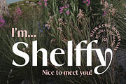 Shelffy, a Sans Serif Font by Dora Typefoundry (Thumbnail 11 of 14)