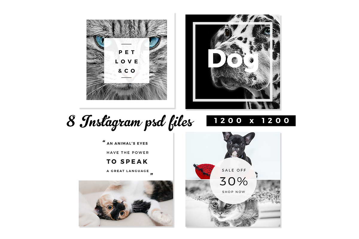 Pet Lovers Social Media Pack, a Social Media Template by RedRiver Studio (Photo 2 of 7)