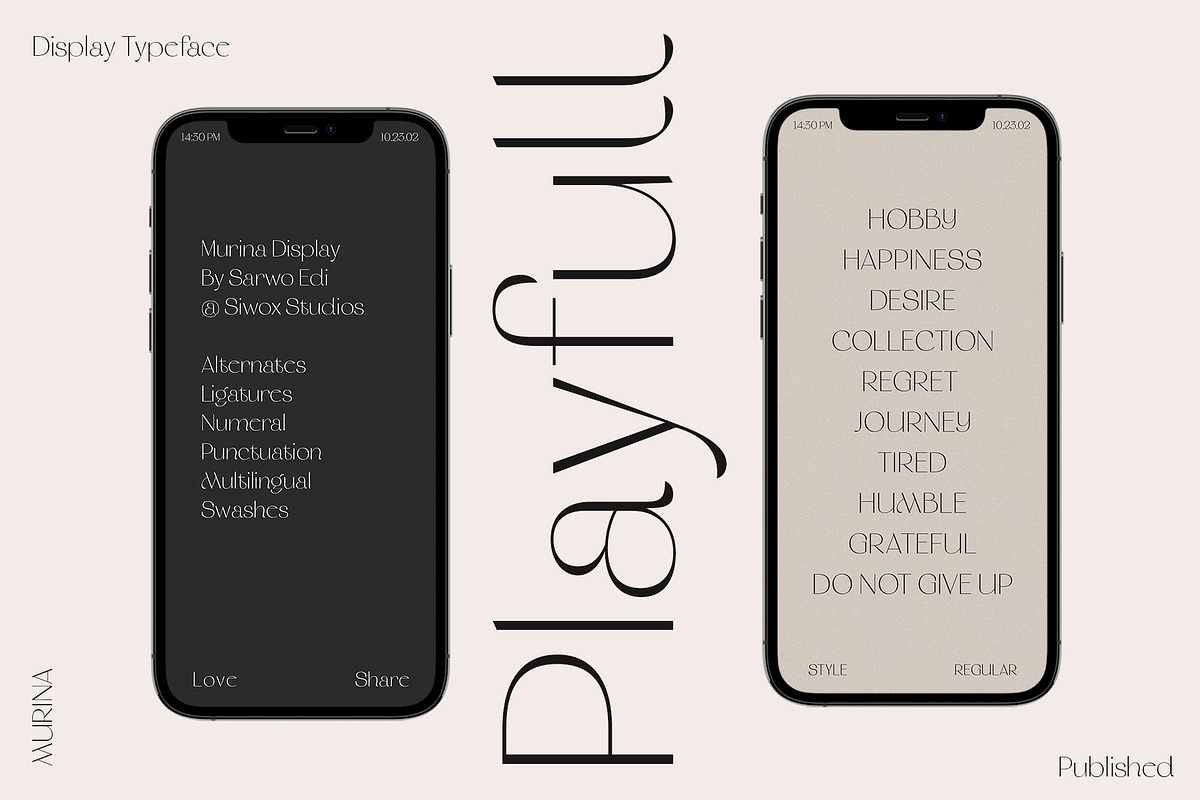Murina Elegant Display Font, a Sans Serif Font by Siwox Studios (Photo 7 of 14)
