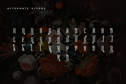 Sorcha Display font + Swashes, a Font by VP Fonts (Thumbnail 11 of 14)