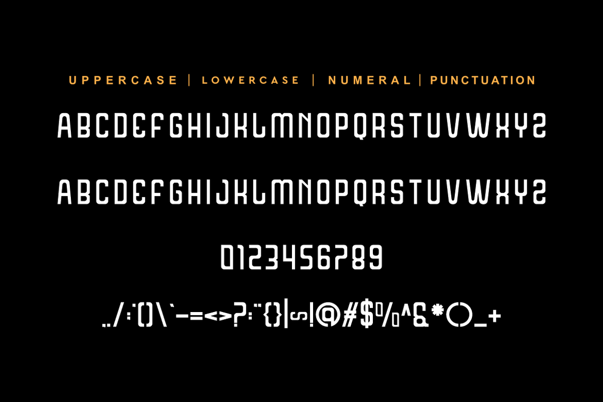 Robos Chasero Tall & Condensed Font preview 6