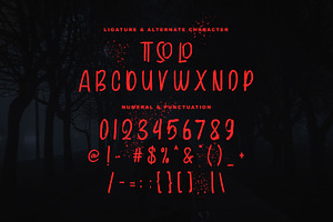 Vampire Roamer Brush Display Font