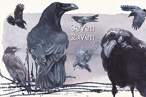 Seven Raven Watercolor Clipart