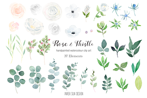 Rose And Thistle Clip Art Bundle