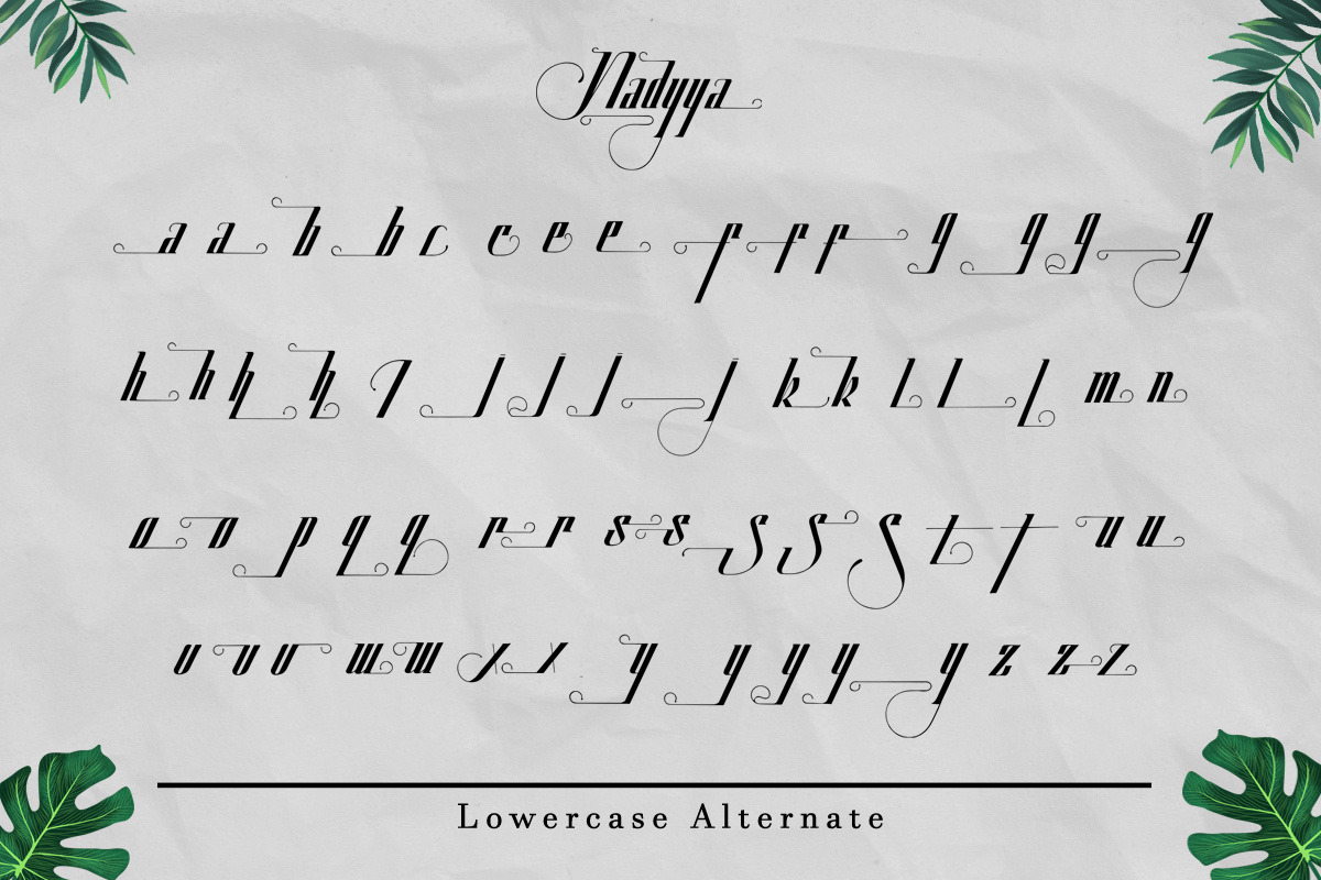 Nadyya - Traditional Display Font, a Symbol Font by Saxofont (Photo 8 of 8)