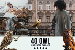 40 Owl Photo Overlay