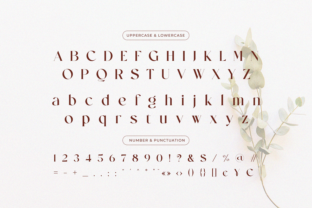 Mending – Stylish Display Serif Font, a Serif Font by BrandSemut (Photo 9 of 10)