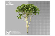 81 Farm Plants Photo Overlays, a Nature Photo by KenScape (Thumbnail 2 of 3)