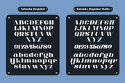ANTONIA - The Classino Serif, a Serif Font by Khoir (Thumbnail 8 of 17)