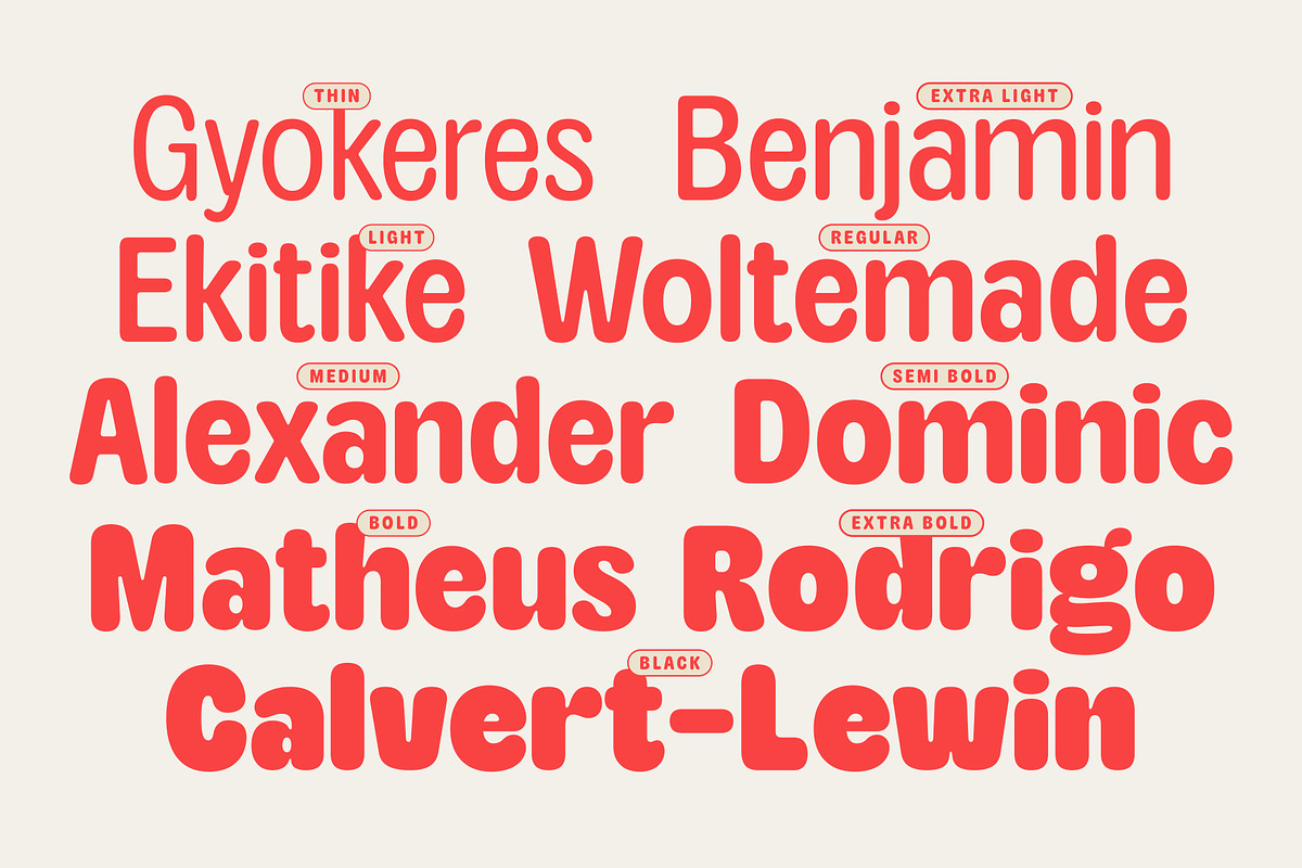 TNSC Aiger -  Rounded Sans, a Sans Serif Font by The Native Saint Club (Photo 9 of 14)