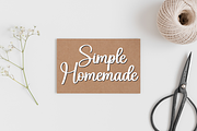 Saga | Script Font, a Handwritten Font by Scratchones (Thumbnail 3 of 9)