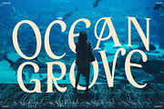 Arbane – Art Nouveau Font, a Serif Font by Craft Supply Co. (Thumbnail 3 of 8)