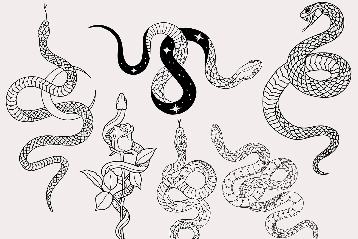 30 Procreate Snake Stamps, a Brush Add-On by Nuclear Brushes (Photo 7 of 10)