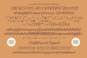 Delight Aurores, a Script Font by operatype.co (Thumbnail 8 of 8)