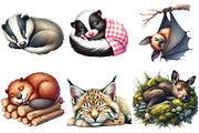 Sleeping Forest Animals Watercolor, an Illustration by Watercolor design (Thumbnail 2 of 4)