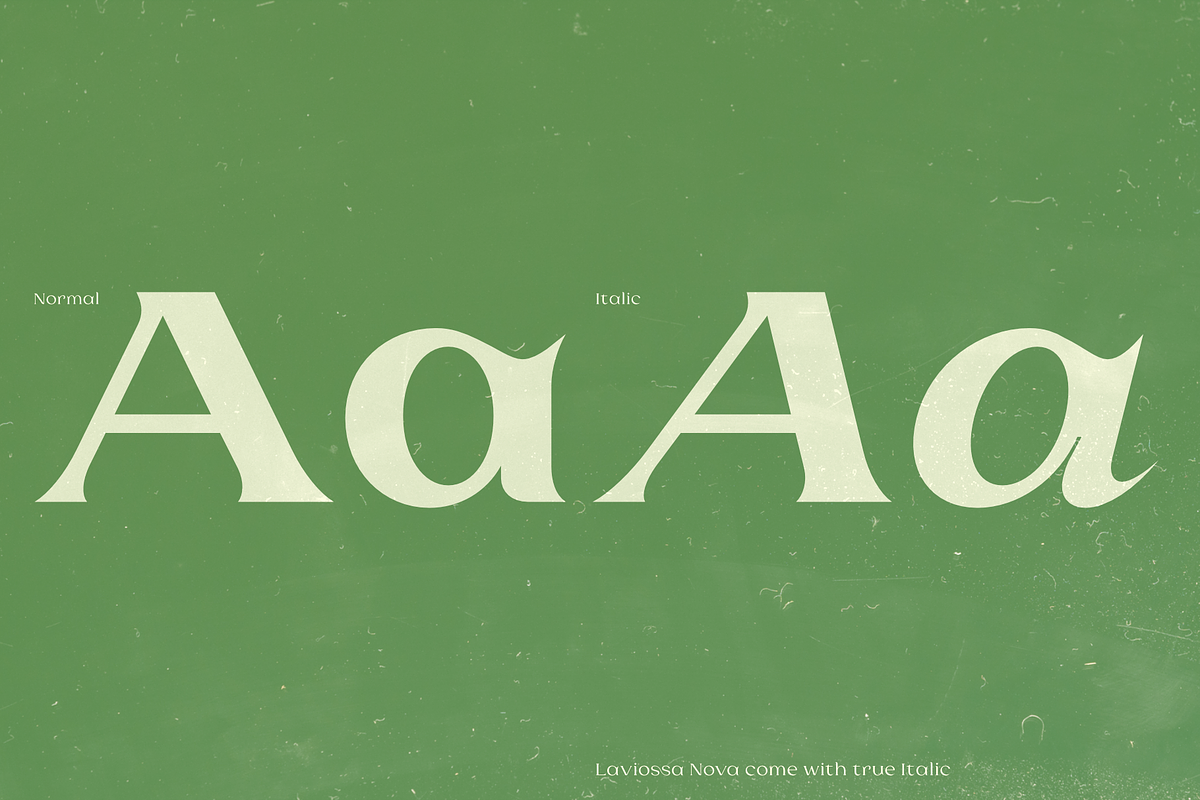 Laviossa Nova - Completed Family, a Serif Font by Jehoo Creative (Photo 6 of 12)
