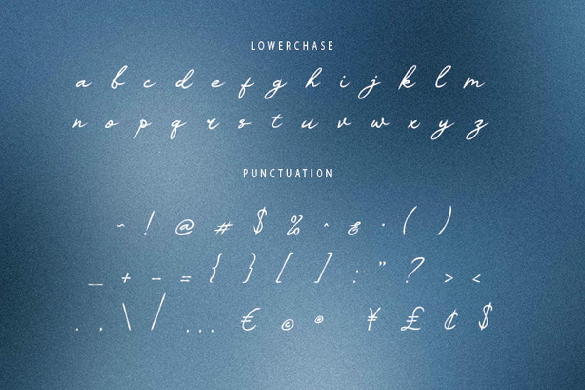 Boogenville #02, a Script Font by GlottaTypeface (Photo 6 of 8)