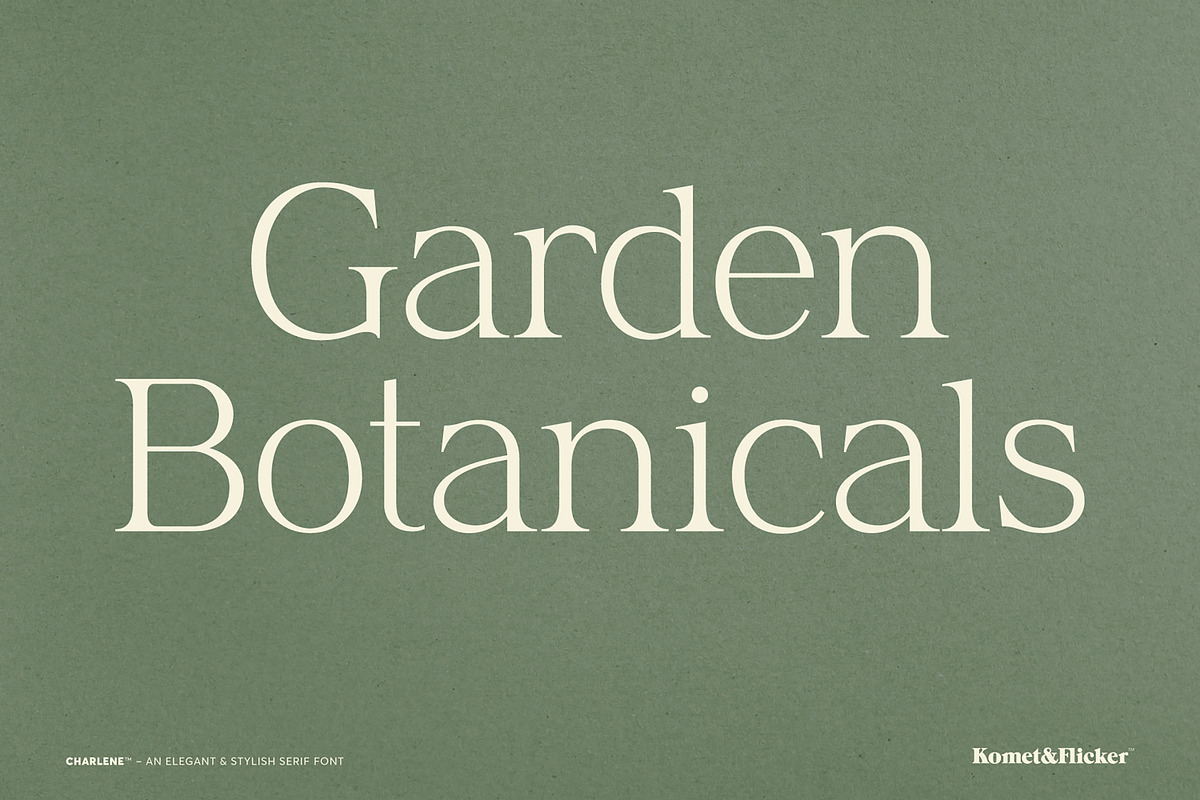 Charlene - An Elegant & Stylish Font, a Serif Font by Komet & Flicker (Photo 6 of 16)