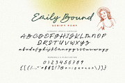 Emily Bound Font, a Font by BodigStd (Thumbnail 8 of 8)