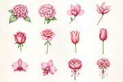 About Pink Flowers Watercolor Clipar, an Illustration by CrexoraLab (Thumbnail 2 of 5)