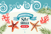 Watercolor Seashels, an Illustration by ARSCOR (Thumbnail 2 of 5)